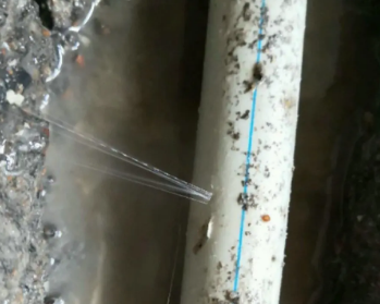 江口卫生间测漏水多少钱